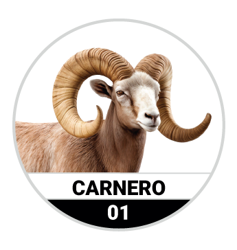 CARNERO