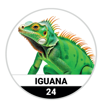 IGUANA