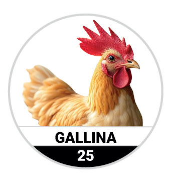 GALLINA
