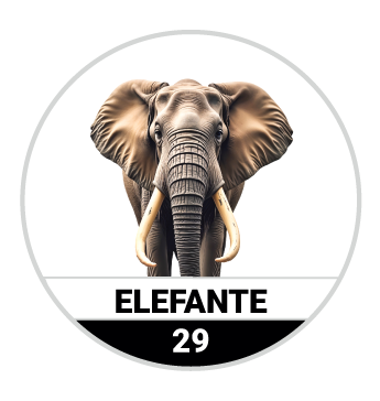 ELEFANTE