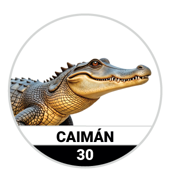 Animalitos del Oriente - Mascotas resultado del sorteo