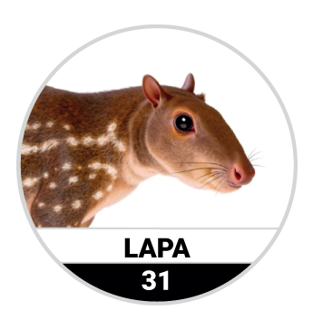 LAPA