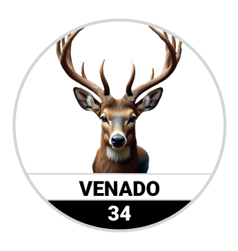 Animalitos del Oriente - Bichitos resultado del sorteo