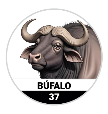 BÚFALO