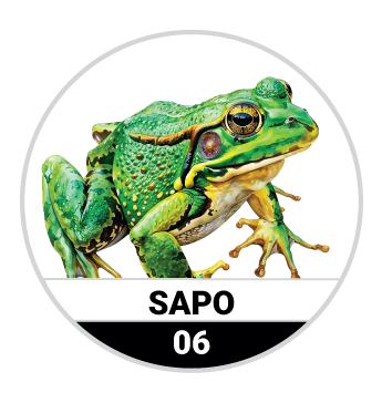 Animalitos del Oriente - Mascotas resultado del sorteo