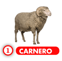 Chance Con Animalitos A resultado del sorteo