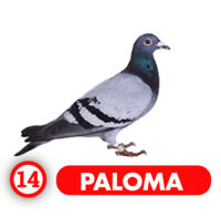 PALOMA