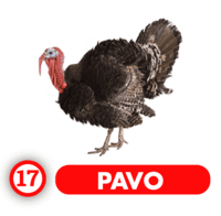 Chance Con Animalitos A resultado del sorteo