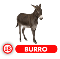Chance Con Animalitos A resultado del sorteo