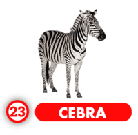 Chance Con Animalitos A resultado del sorteo