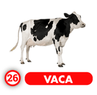 Chance Con Animalitos A resultado del sorteo