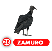 ZAMURO