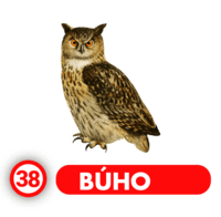 BÚFALO
