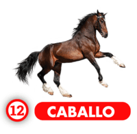 Chance Con Animalitos B resultado del sorteo