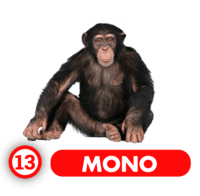 MONO