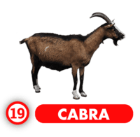 CABRA