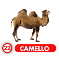 Chance Con Animalitos B resultado del sorteo