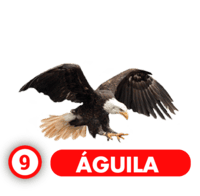 Chance Con Animalitos B resultado del sorteo