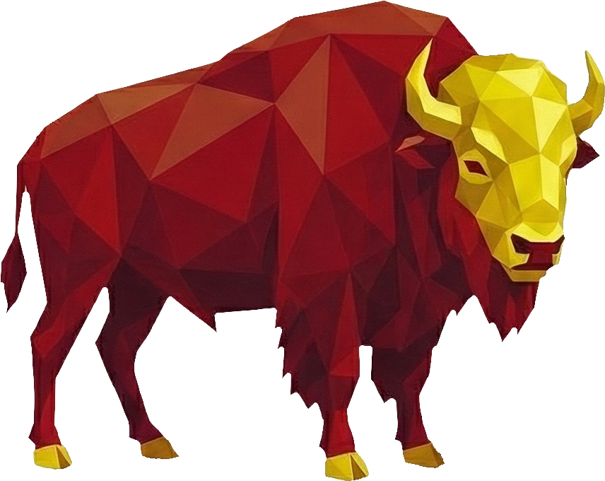 70 BISONTE