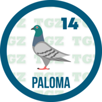 Gatazo resultado del sorteo