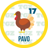 Pavo