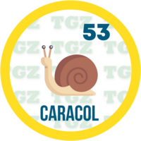 Gatazo resultado del sorteo
