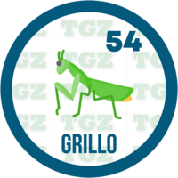 Gatazo resultado del sorteo