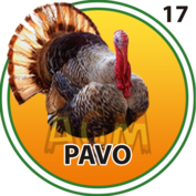 Granja Millonaria - Granjazo — 17 Pavo