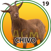 Granja Millonaria - Granjazo — 19 Chivo