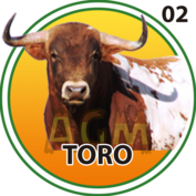 2 TORO