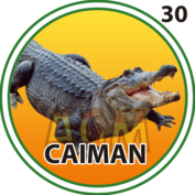 30 CAIMAN