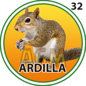 32 ARDILLA