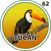 Granja Millonaria - Granjazo — 62 Tucán