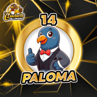14 - PALOMA