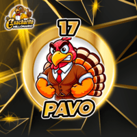 17 - PAVO
