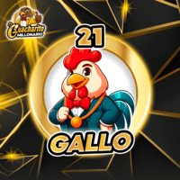 21 - GALLO