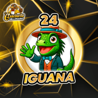 24 - IGUANA