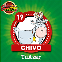 CHIVO