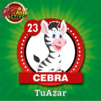 CEBRA