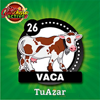 Guacharo Activo resultado del sorteo