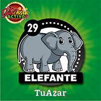 Guacharo Activo resultado del sorteo