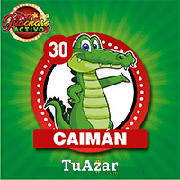 CAIMÁN