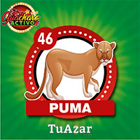 Guacharo Activo resultado del sorteo