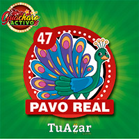 PAVO REAL