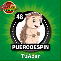 Guacharo Activo resultado del sorteo