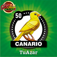 CANARIO