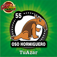 Guacharo Activo resultado del sorteo