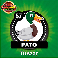 PATO