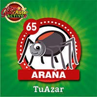 ARAÑA