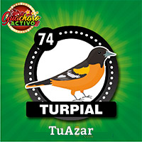 Guacharo Activo resultado del sorteo